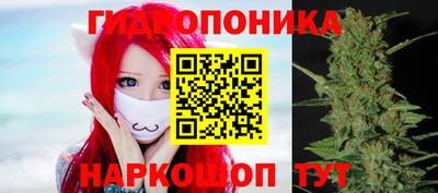 таблы Будённовск