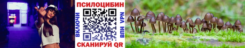Псилоцибиновые грибы Psilocybine cubensis  Заволжье 
