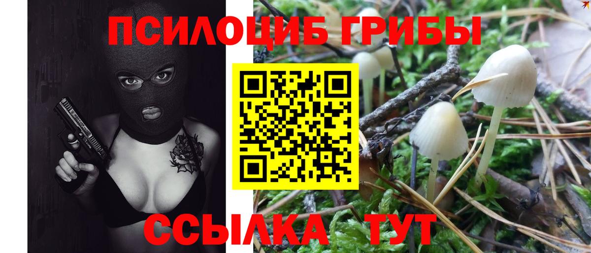 Галлюциногенные грибы MAGIC MUSHROOMS  Заволжье 