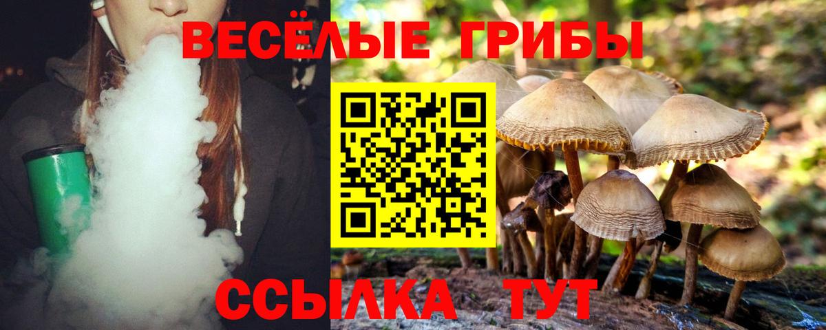 Заволжье  что такое наркотик  Вход с VPN  Псилоцибиновые грибы ЛСД  Псилоцибиновые грибы мухоморы 