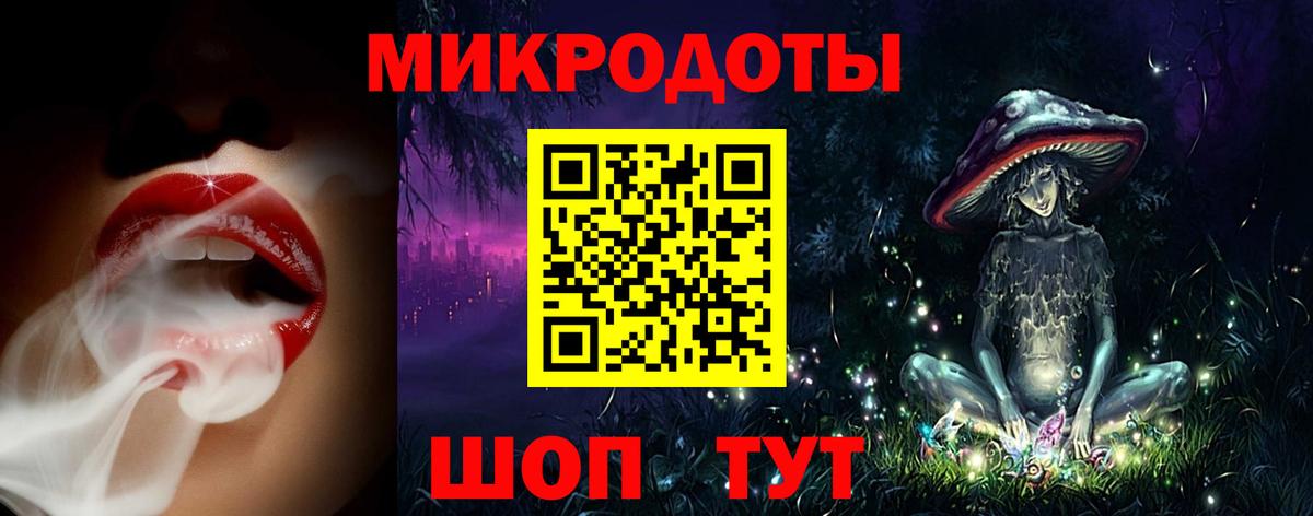 Галлюциногенные грибы Psilocybine cubensis Заволжье