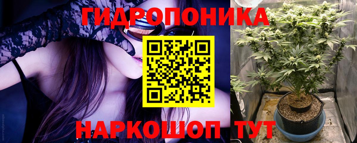Каннабис SATIVA & INDICA Заволжье